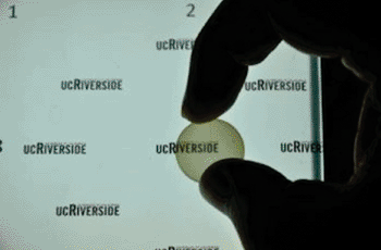 Image: The transparent nanocrystalline yttria-stabilized zirconia (nc-YSZ) cranial implant (Photo courtesy of the University of California, Riverside) Image: The transparent nanocrystalline yttria-stabilized zirconia (nc-YSZ) cranial implant (Photo courtesy of the University of California, Riverside)